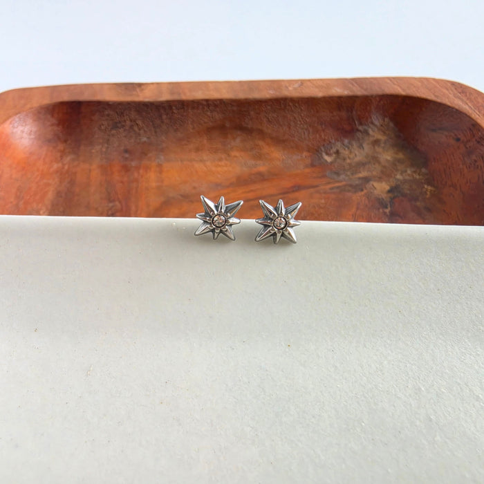 Luxe Starburst Studs - Silver
