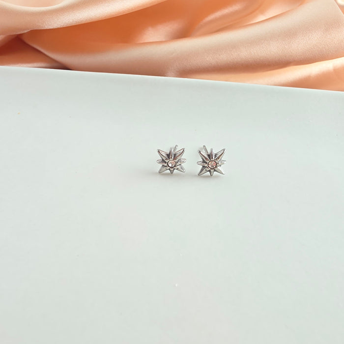 Luxe Starburst Studs - Silver
